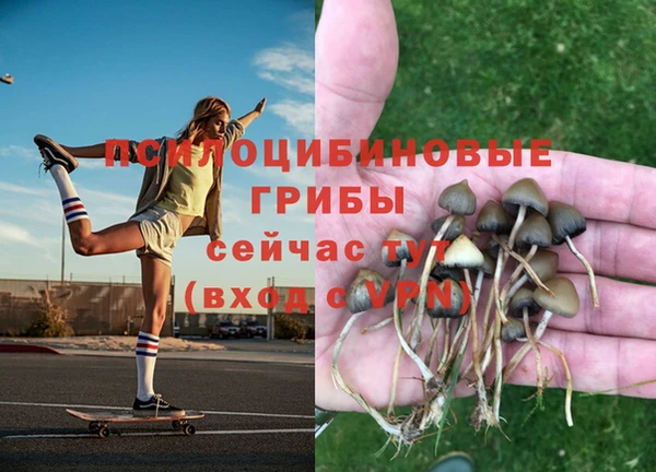 мескалин Алексин