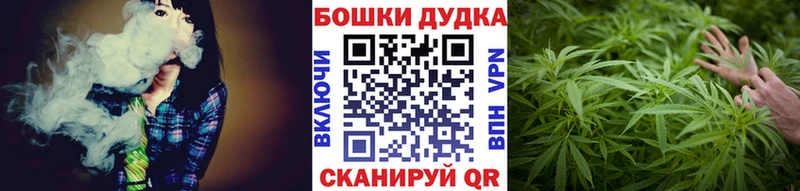 Купить  Ветлуга  Марихуана семена 